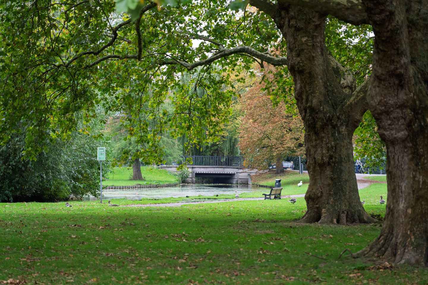 Photo 44 of Mecklenburglaan 30-B