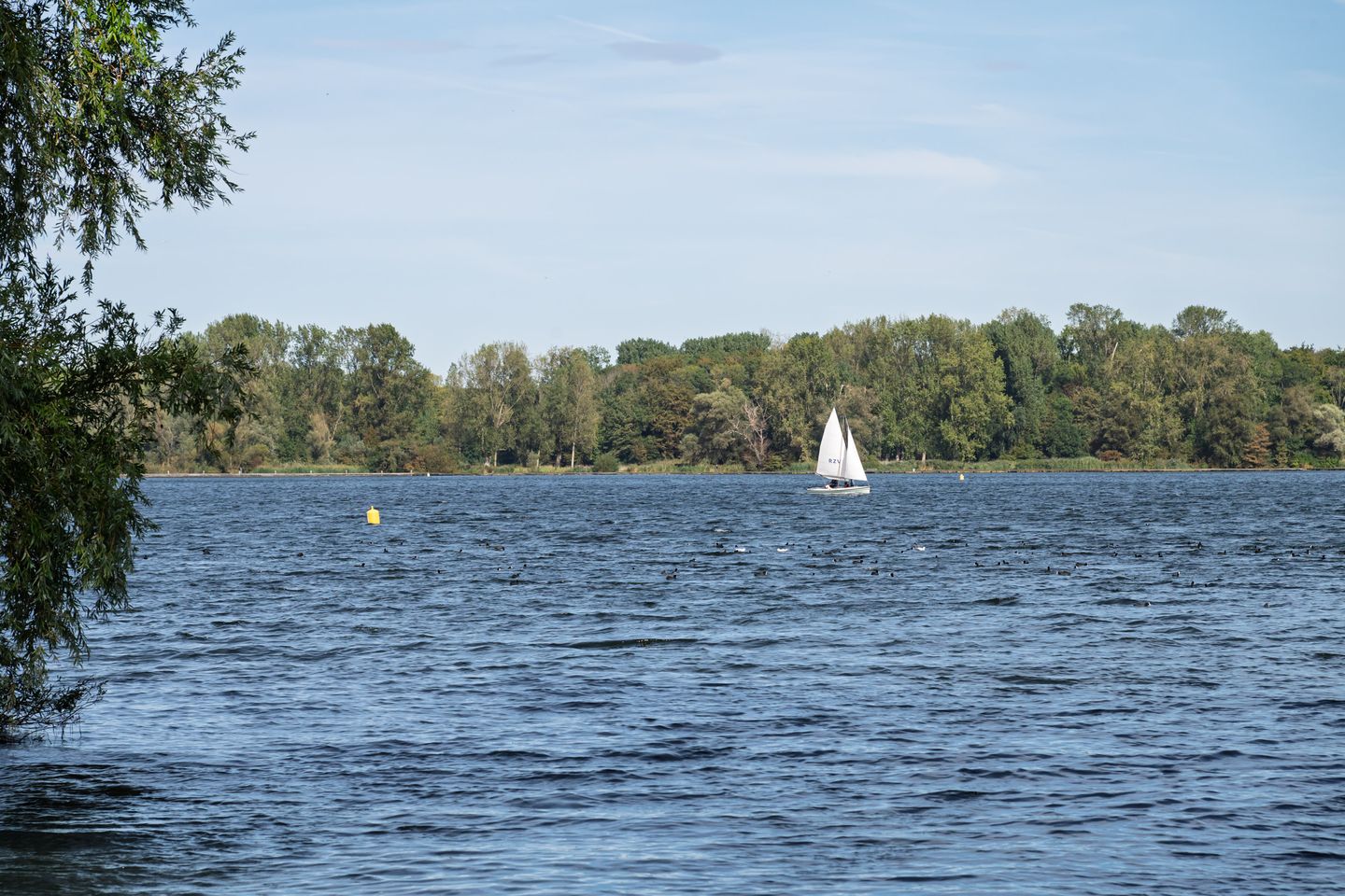 Photo 49 of Mecklenburglaan 30-B