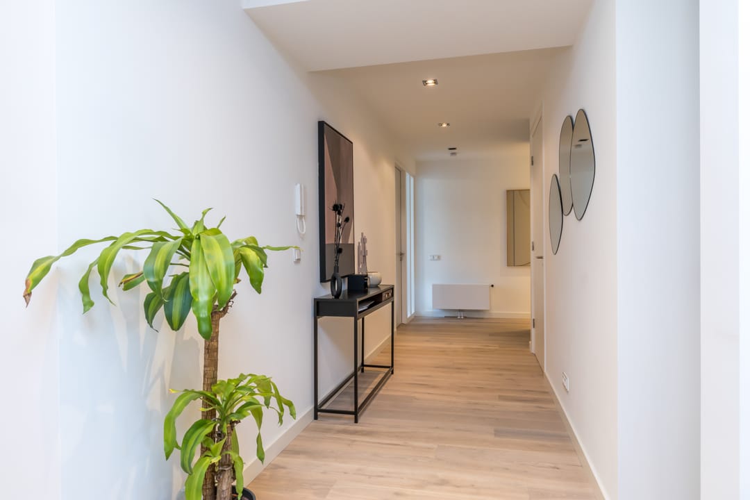 Photo 13 of Reinaldstraat 40