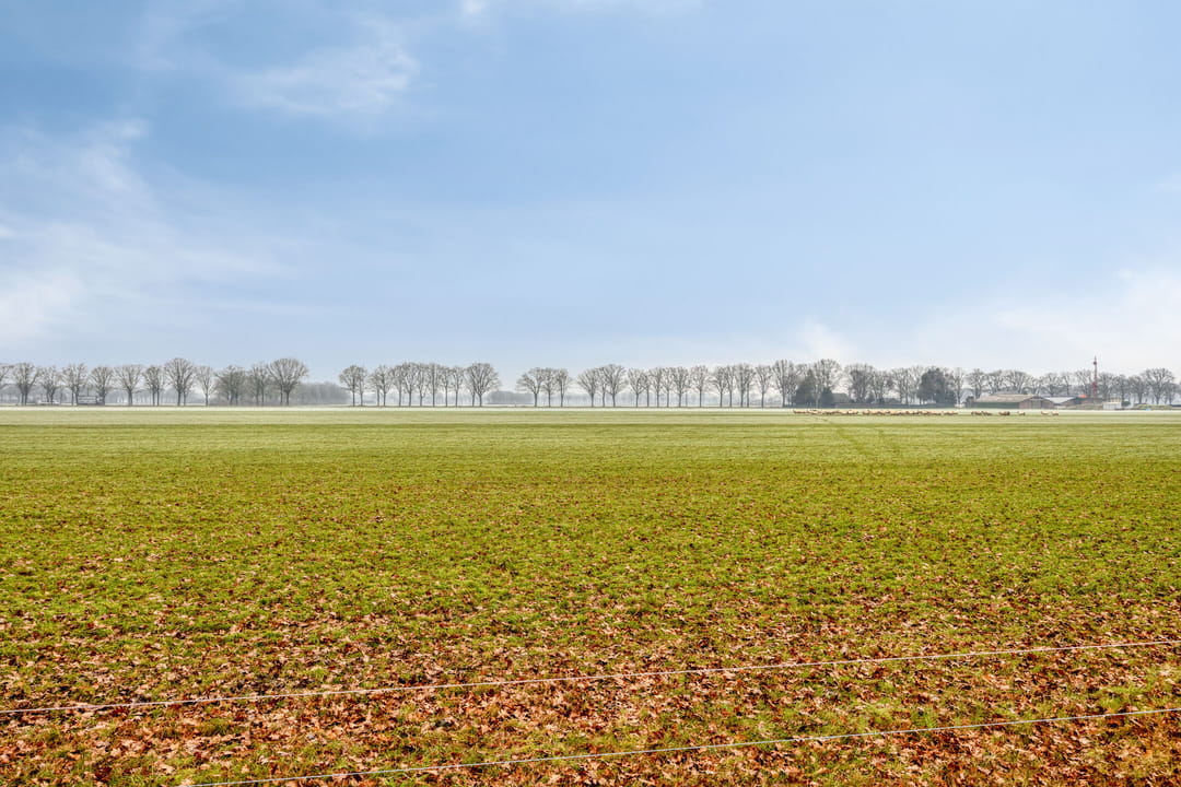 Foto 32 van Pinksterbloemstraat 6