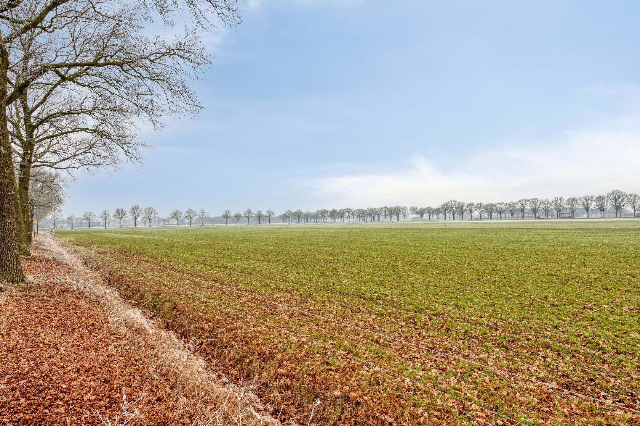 Foto 33 van Pinksterbloemstraat 6