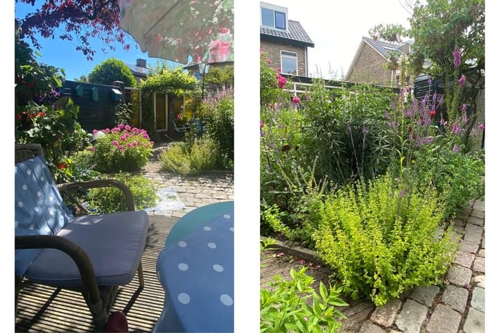 Foto 22 van Mariëndijk 17