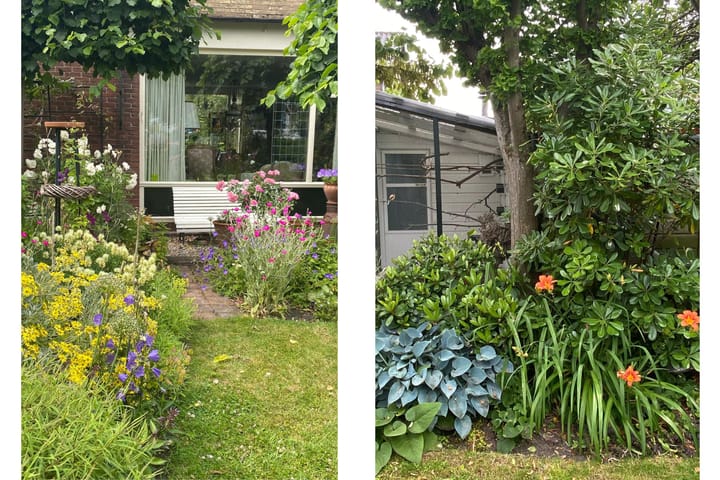 Foto 23 van Mariëndijk 17