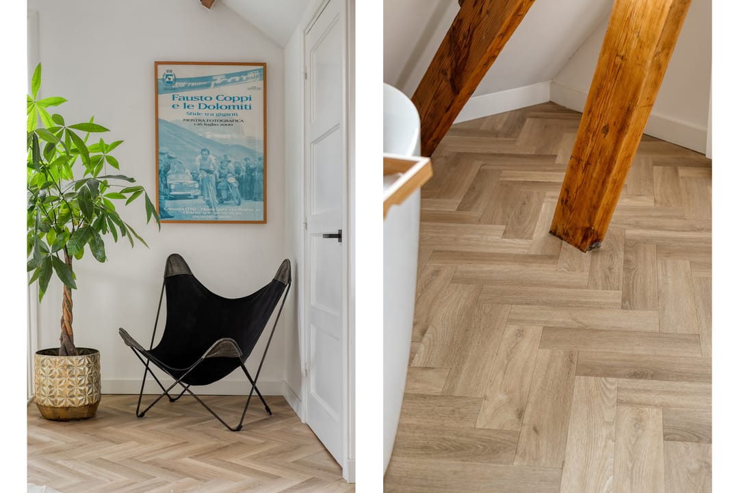 Photo 52 of Theresiastraat 40