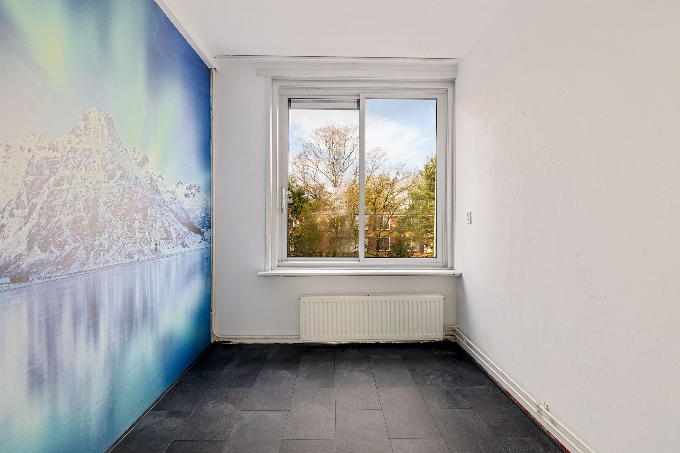 Foto 12 van Plesmanstraat 253