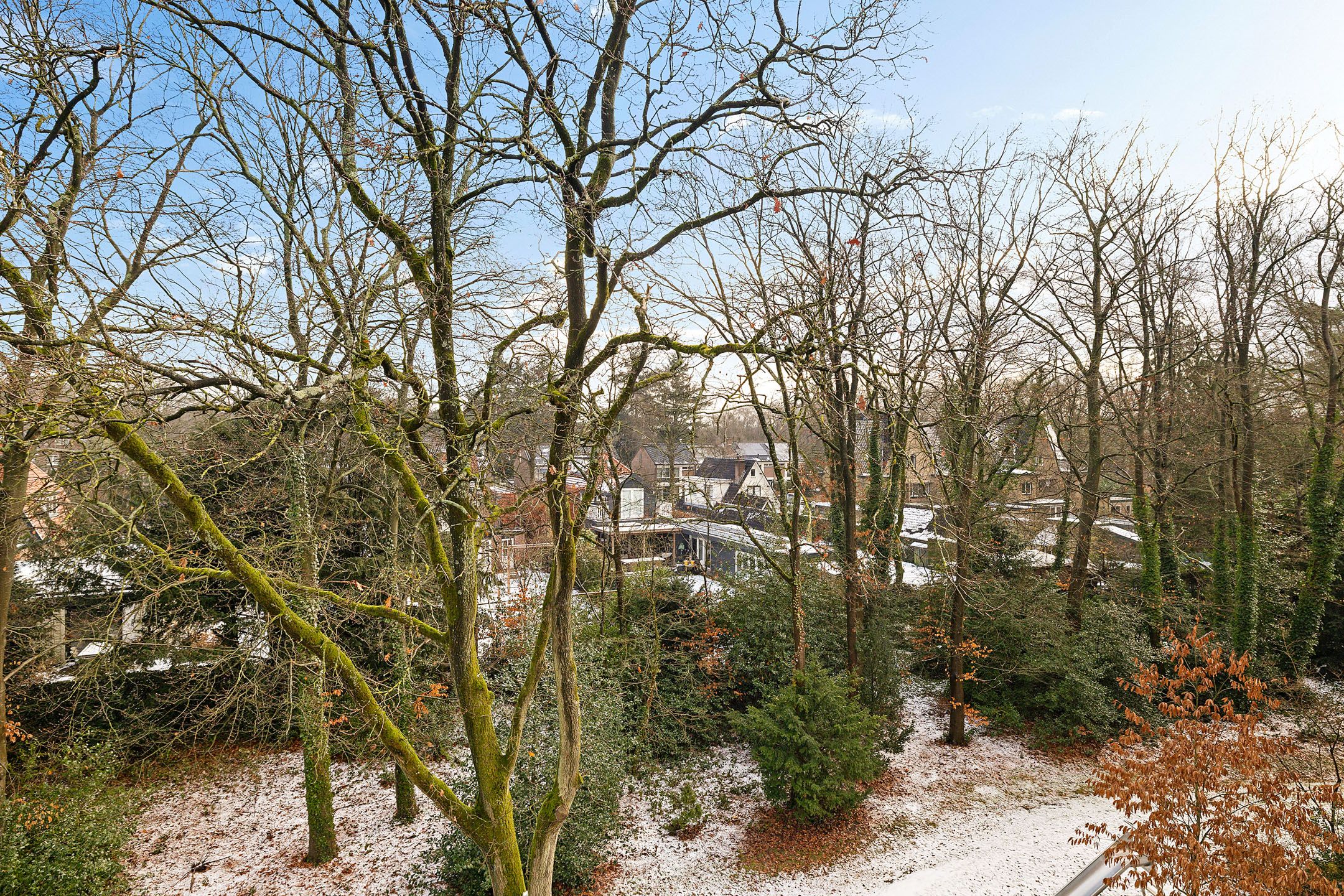 Foto 24 van Plesmanstraat 253