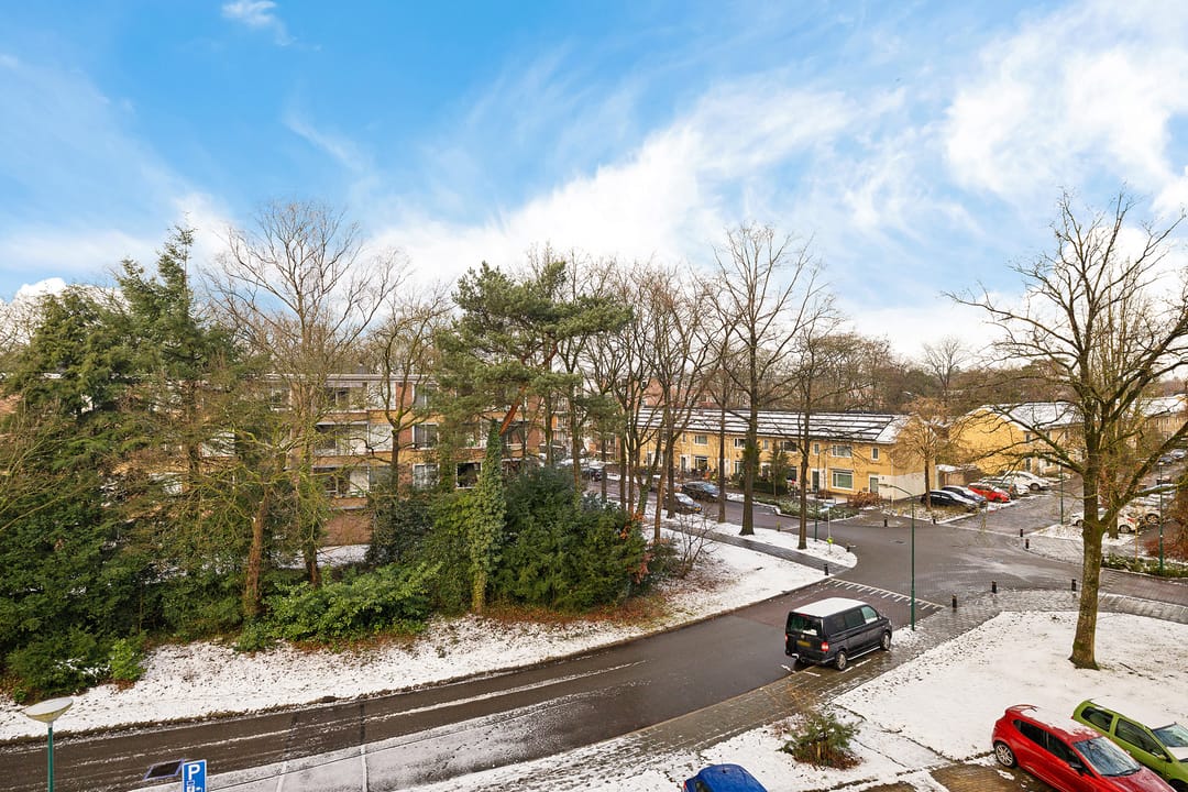 Foto 26 van Plesmanstraat 253