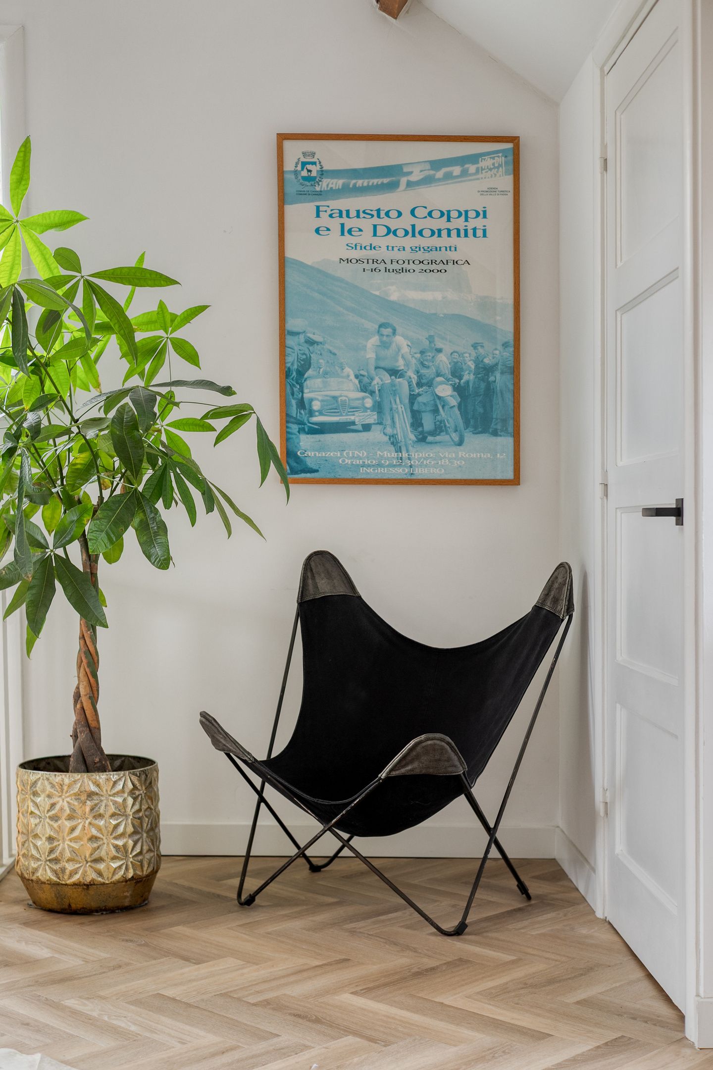 Photo 55 of Theresiastraat 40