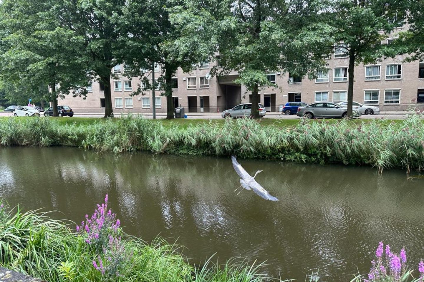 Foto 14 van Brentanostraat 180