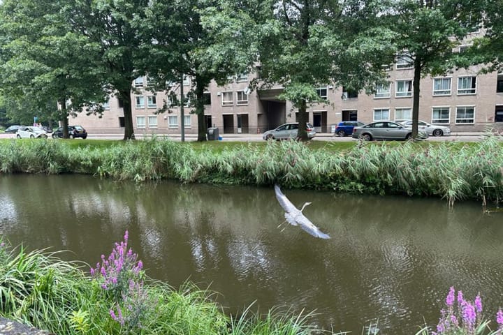 Photo 14 of Brentanostraat 180