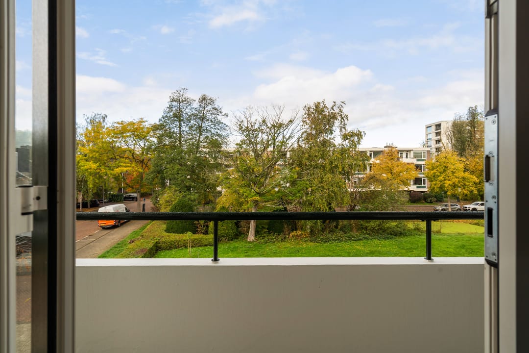 Foto 11 van De Lairesselaan 63