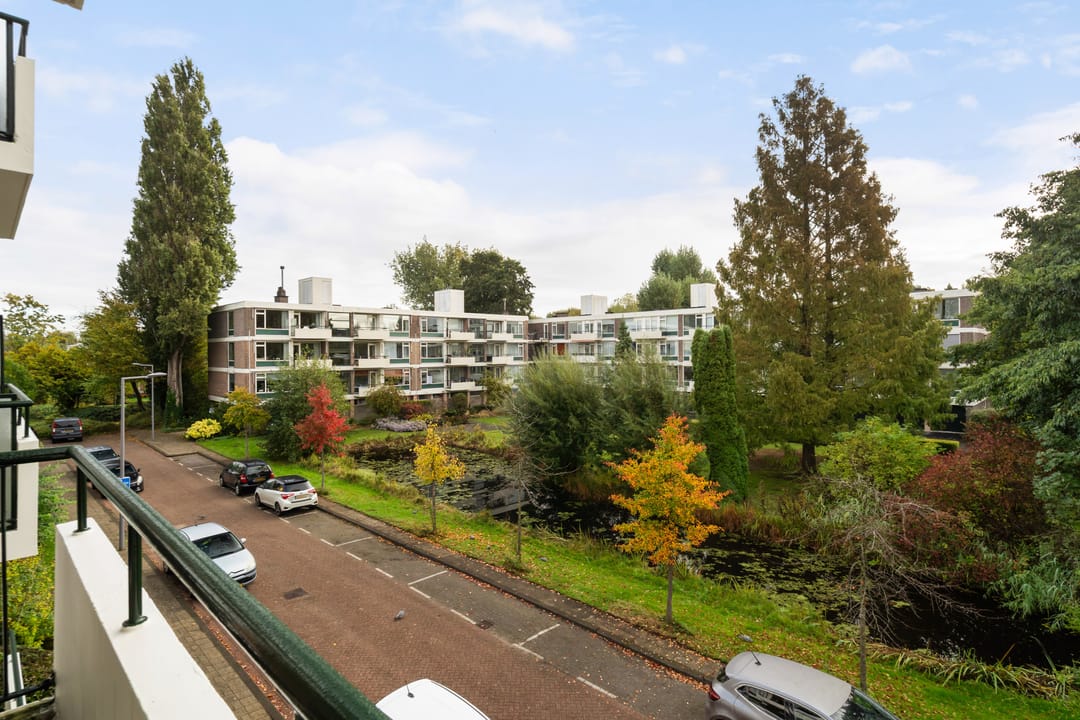 Foto 13 van De Lairesselaan 63