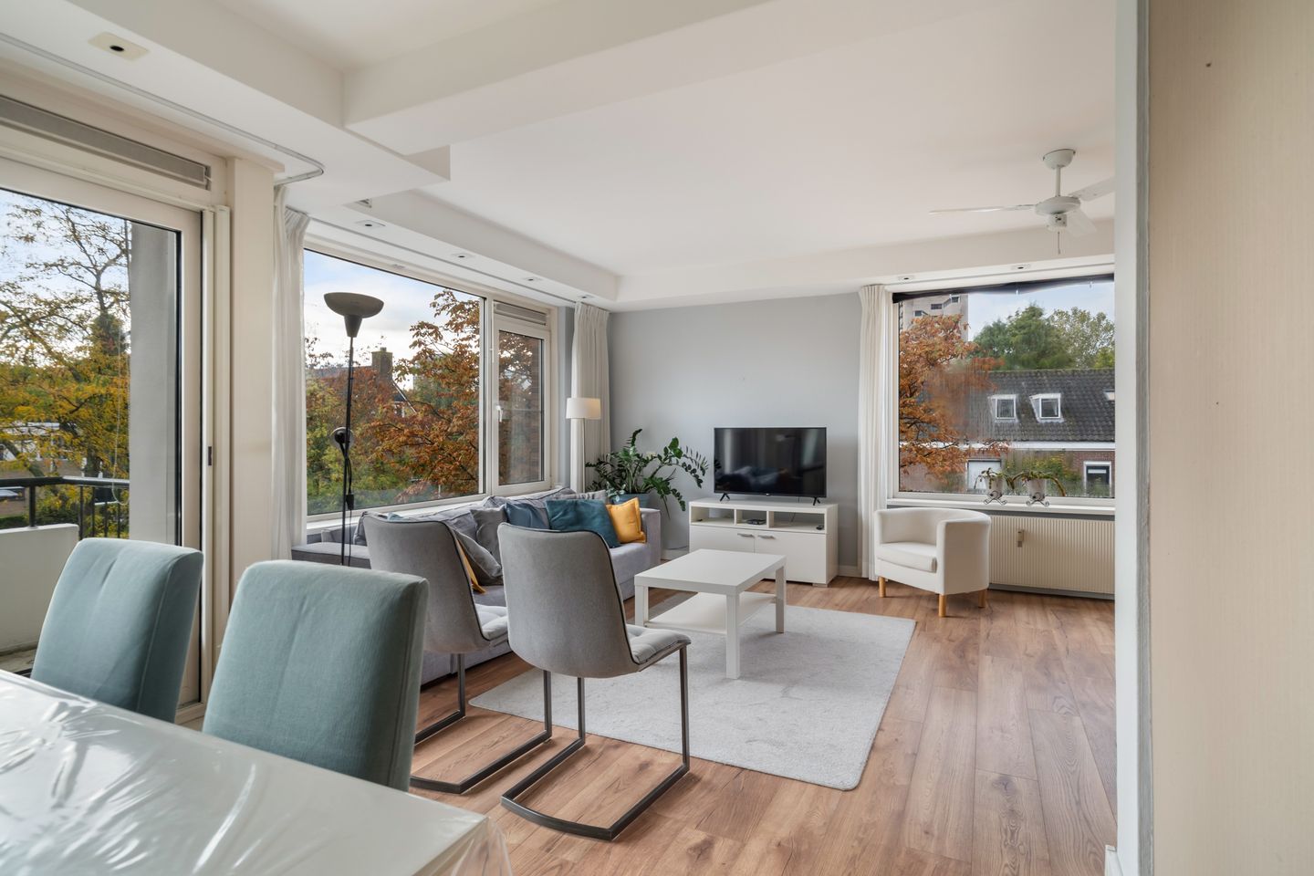 Foto 14 van De Lairesselaan 63