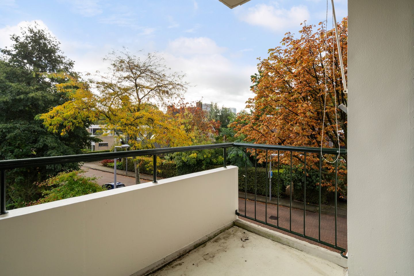 Foto 19 van De Lairesselaan 63