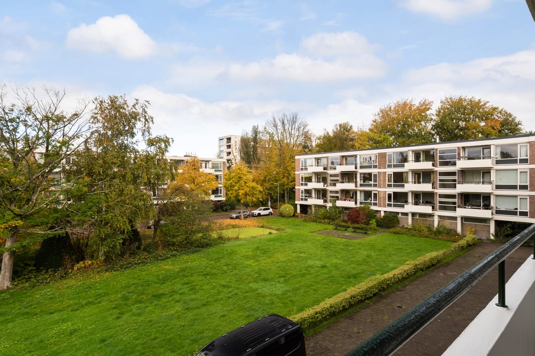 Foto 31 van De Lairesselaan 63