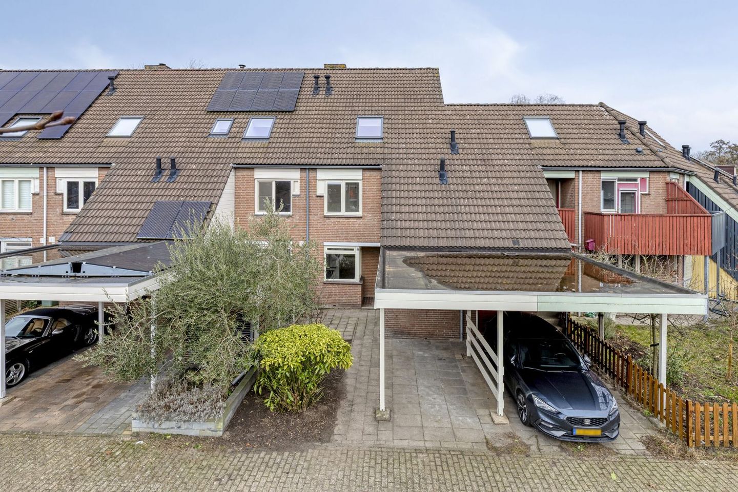 Photo 4 of Reeperf 13