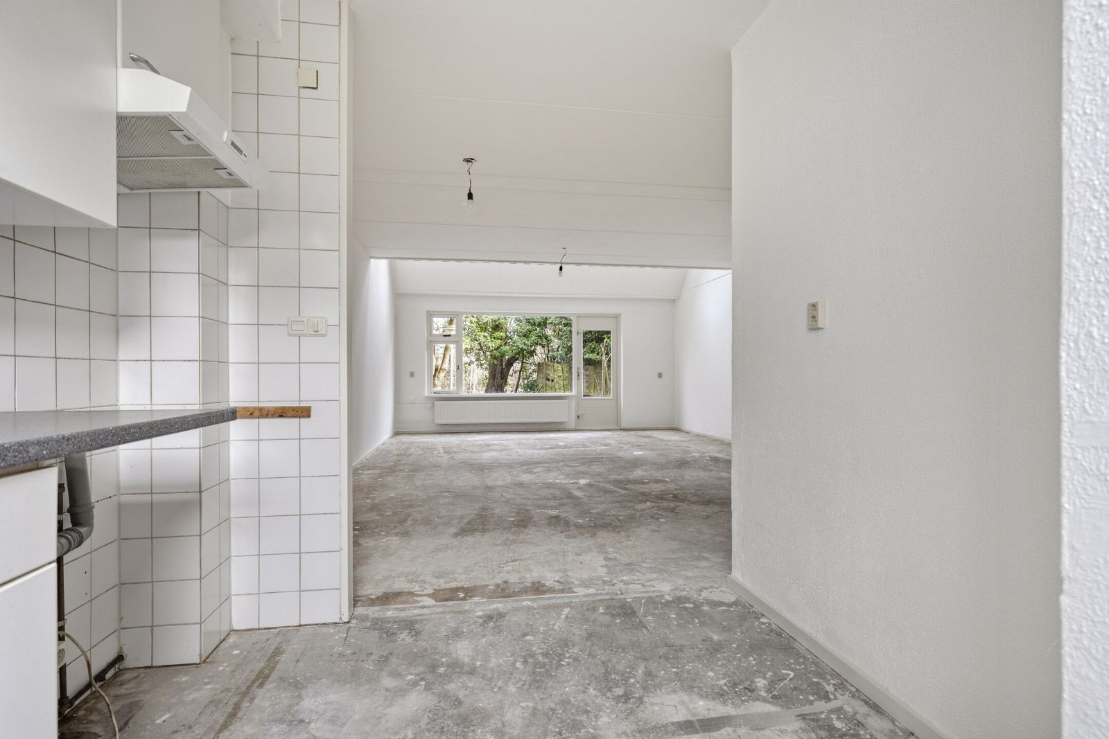 Photo 9 of Reeperf 13