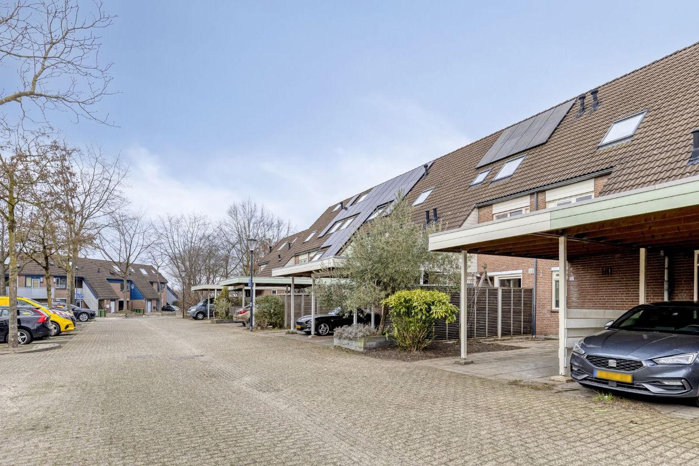 Photo 34 of Reeperf 13