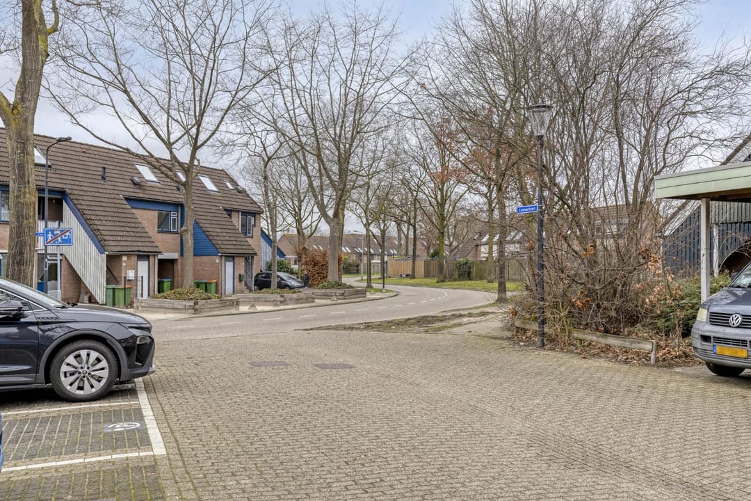 Photo 37 of Reeperf 13