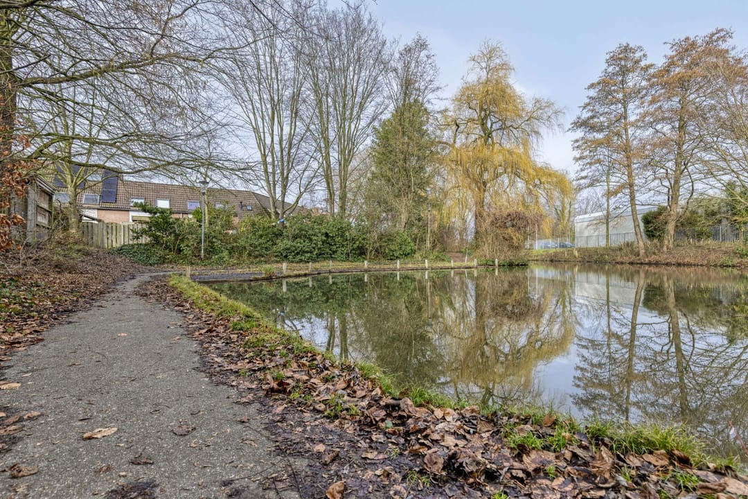 Photo 38 of Reeperf 13