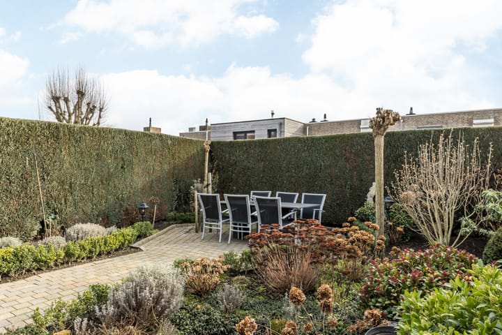 Foto 27 van Dokter Delissenstraat 3