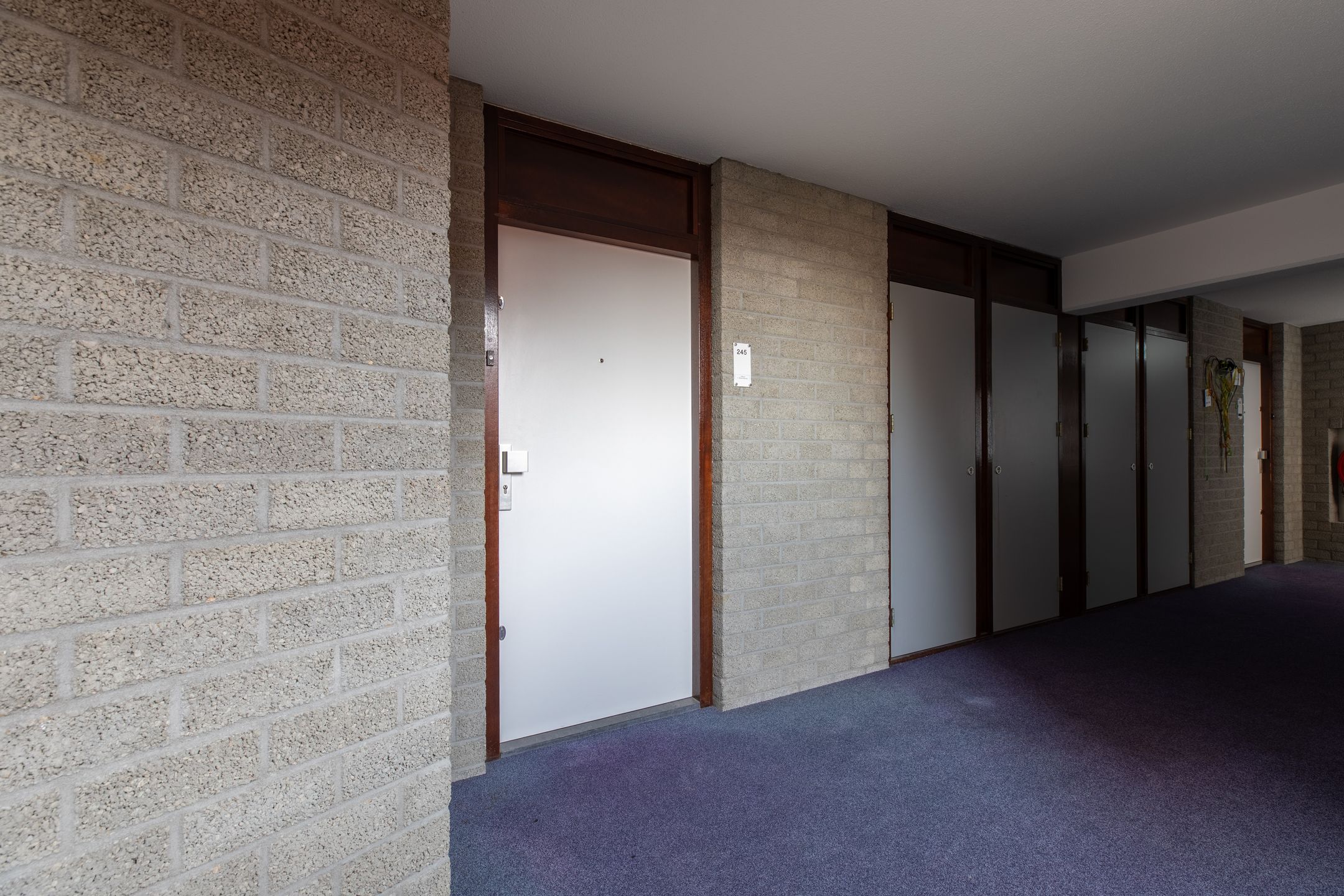 Foto 3 van Putgraaf 245