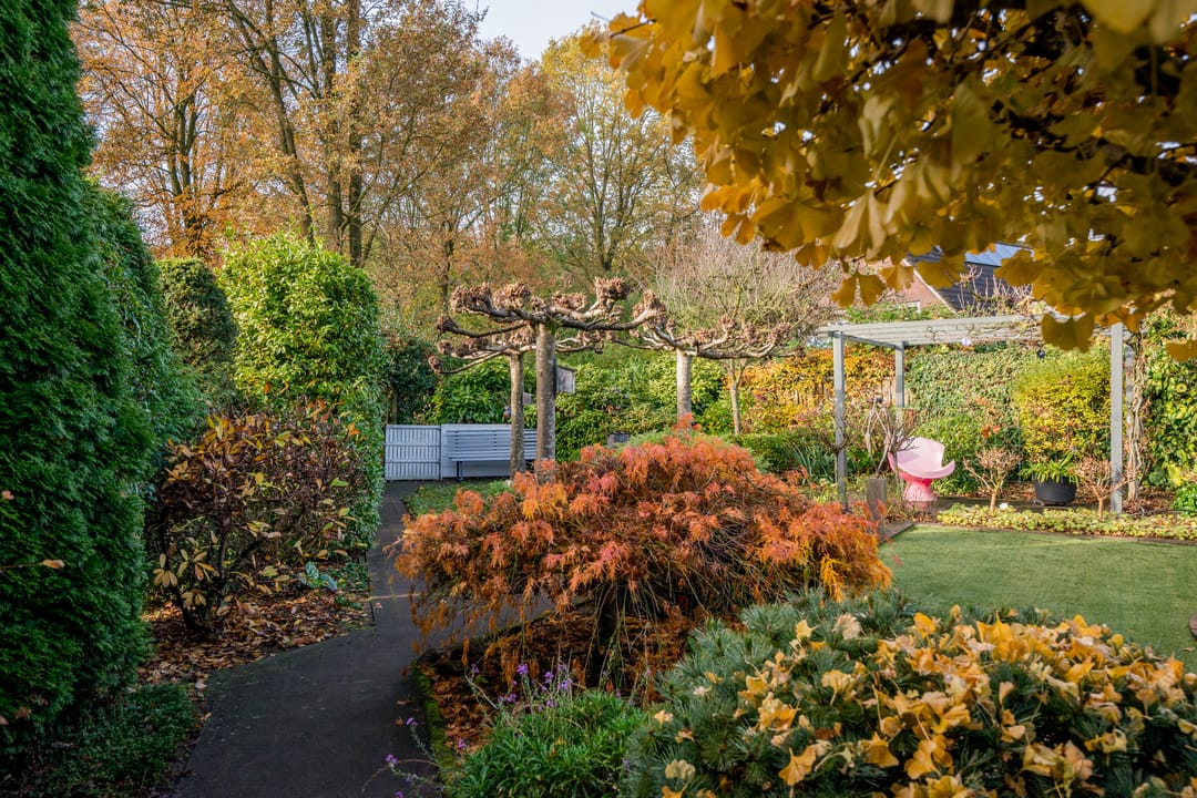 Foto 43 van Sprookjesberg 2-A