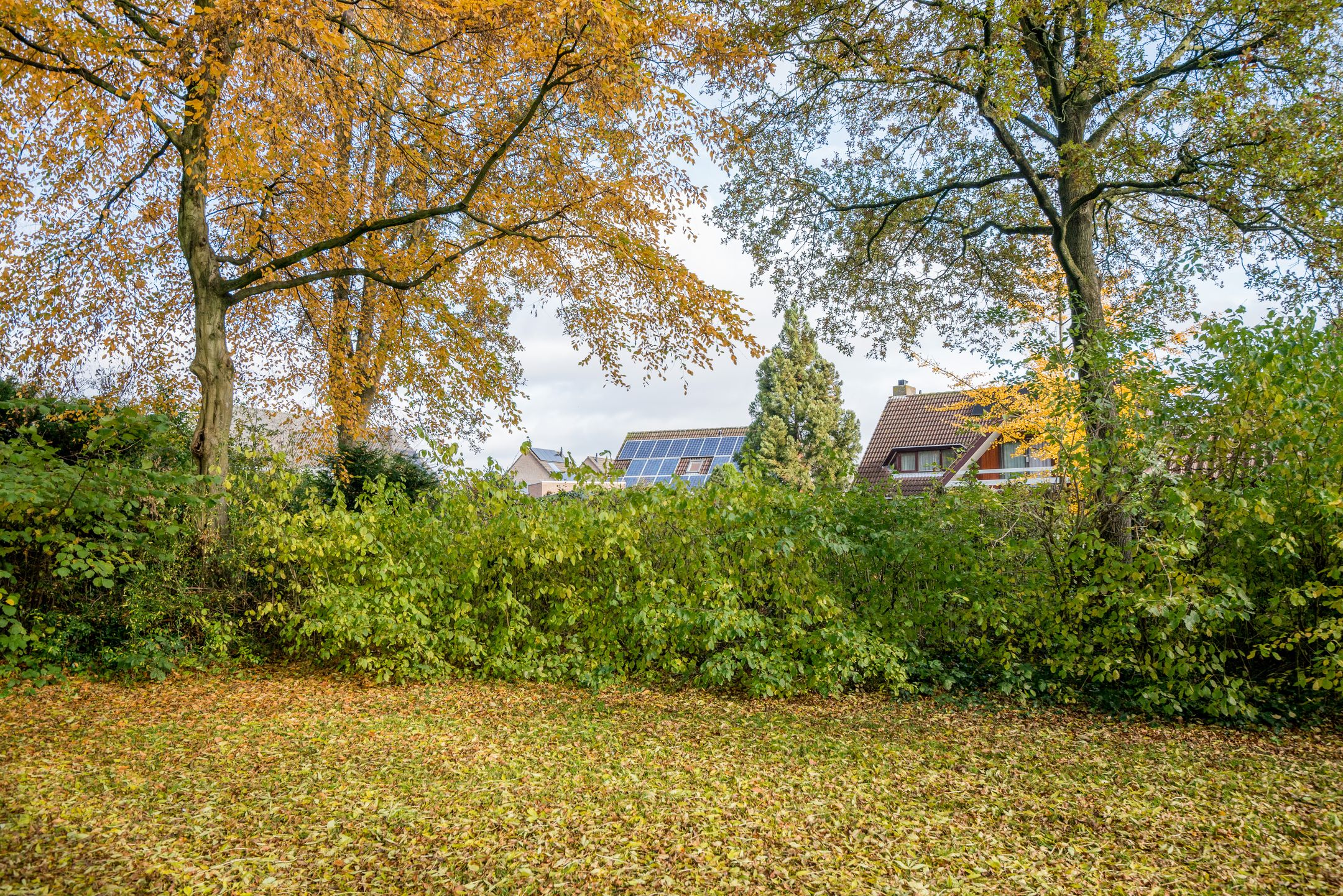 Foto 45 van Sprookjesberg 2-A