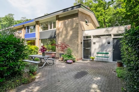 undefined main image