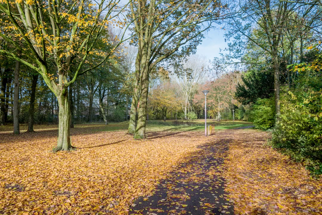 Foto 46 van Sprookjesberg 2-A