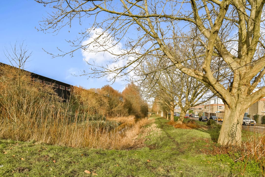 Foto 41 van Lena Blok-Woutsstraat 34