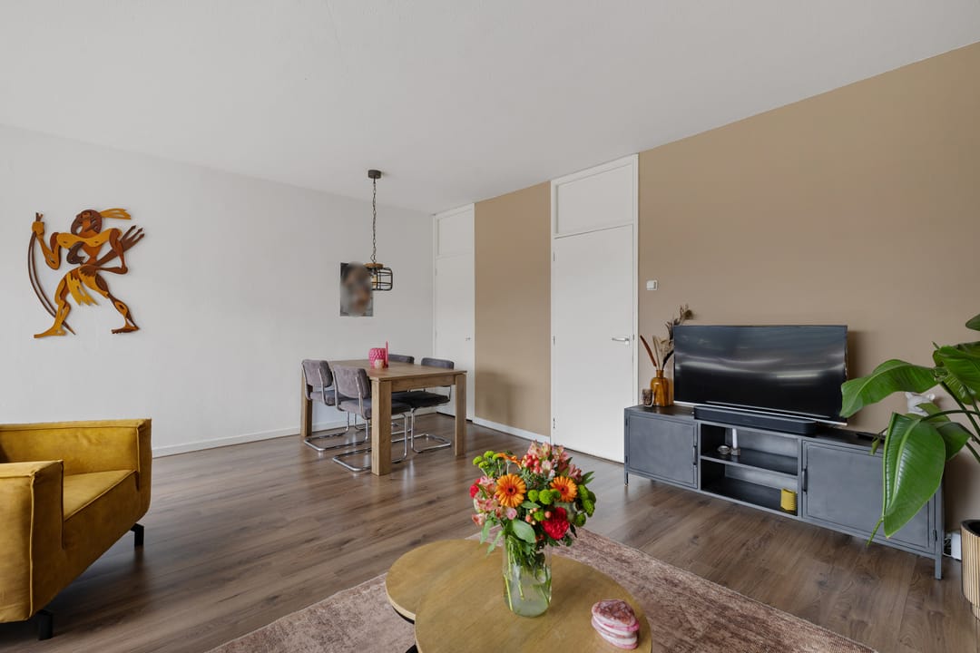 Foto 8 van de Jokse 31