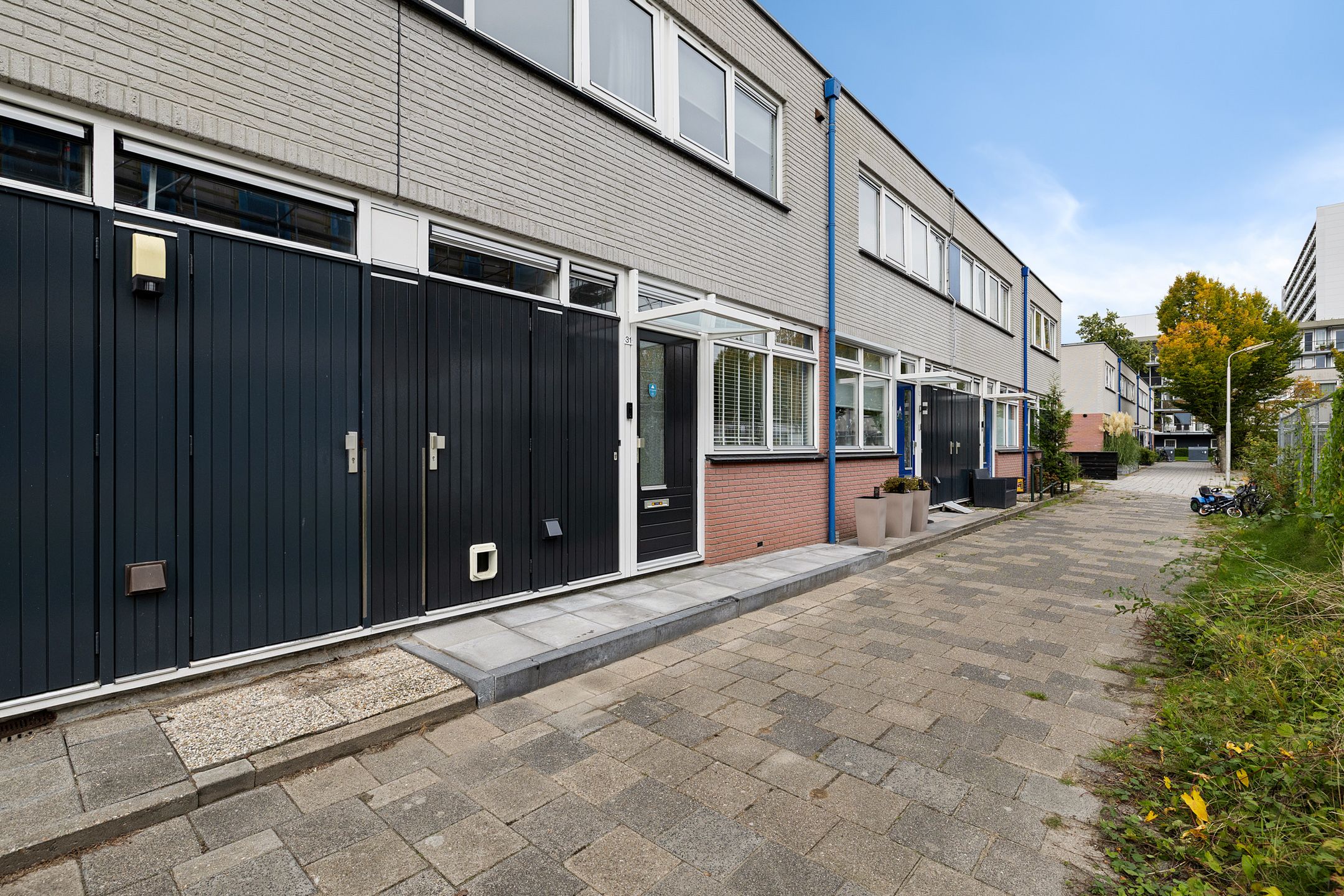 Foto 36 van de Jokse 31