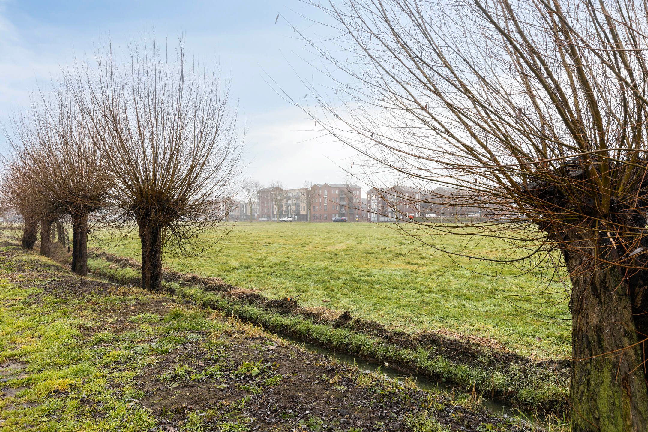 Foto 39 van Verlengde Oostsingel 59