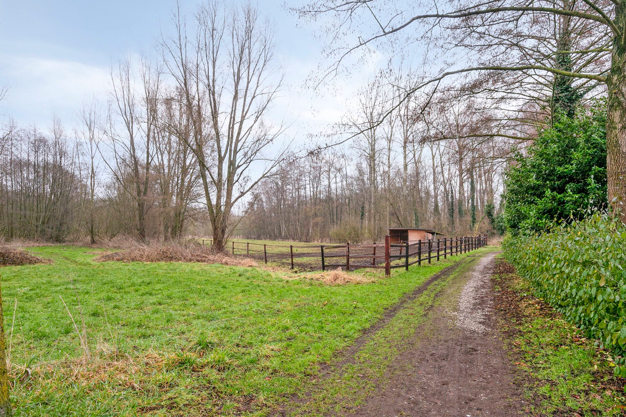 Foto 6 van Rode Beemden 27