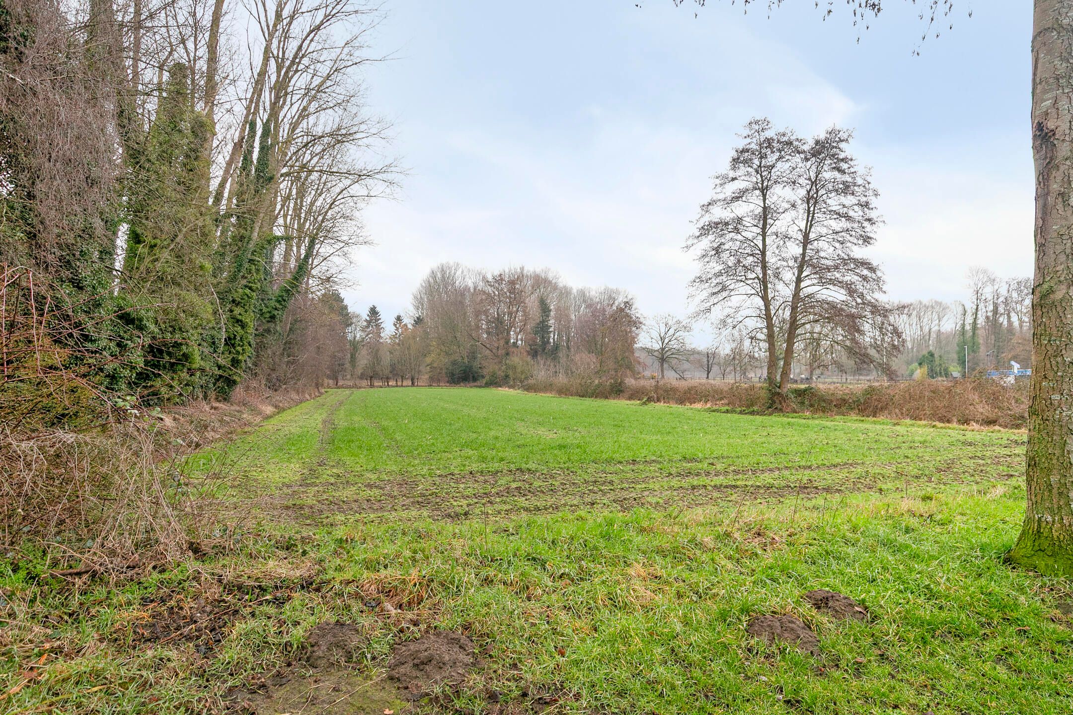 Foto 36 van Rode Beemden 27