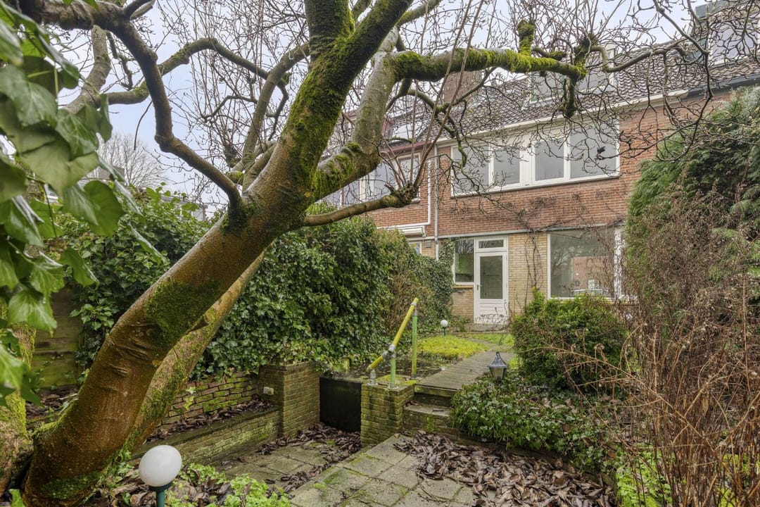 Foto 26 van Olivier van Noortstraat 13