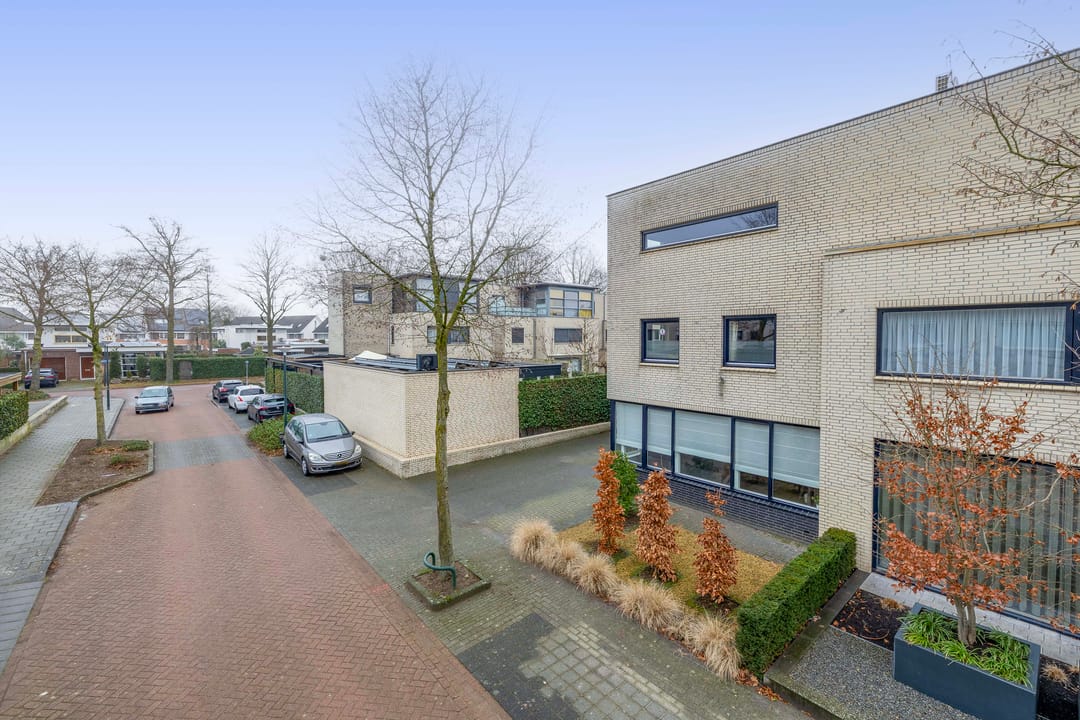 Foto 41 van Tweelingen 34