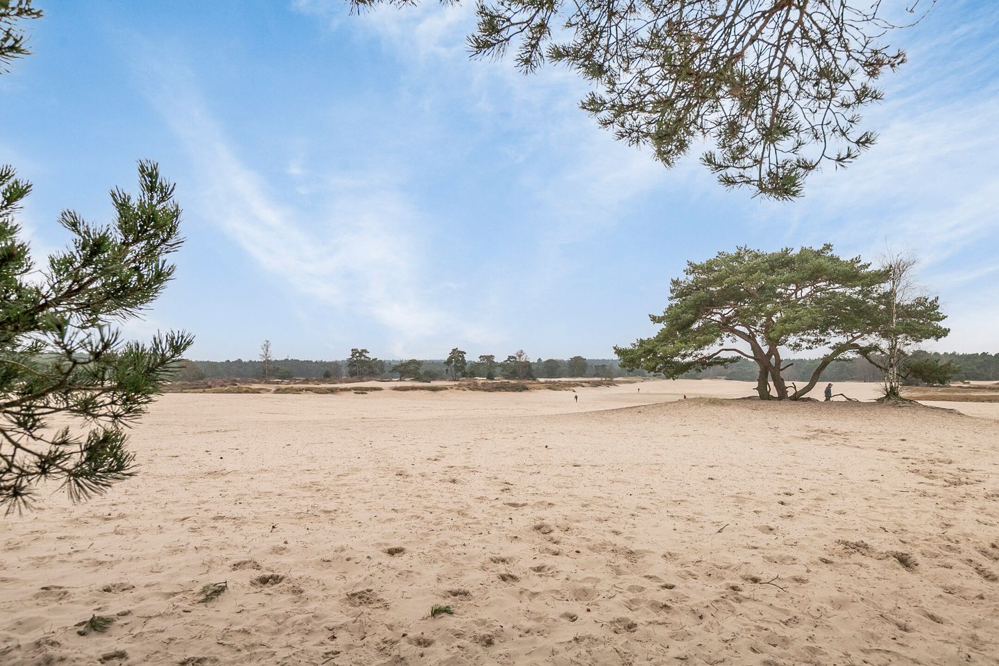 Foto 34 van Krekel 22