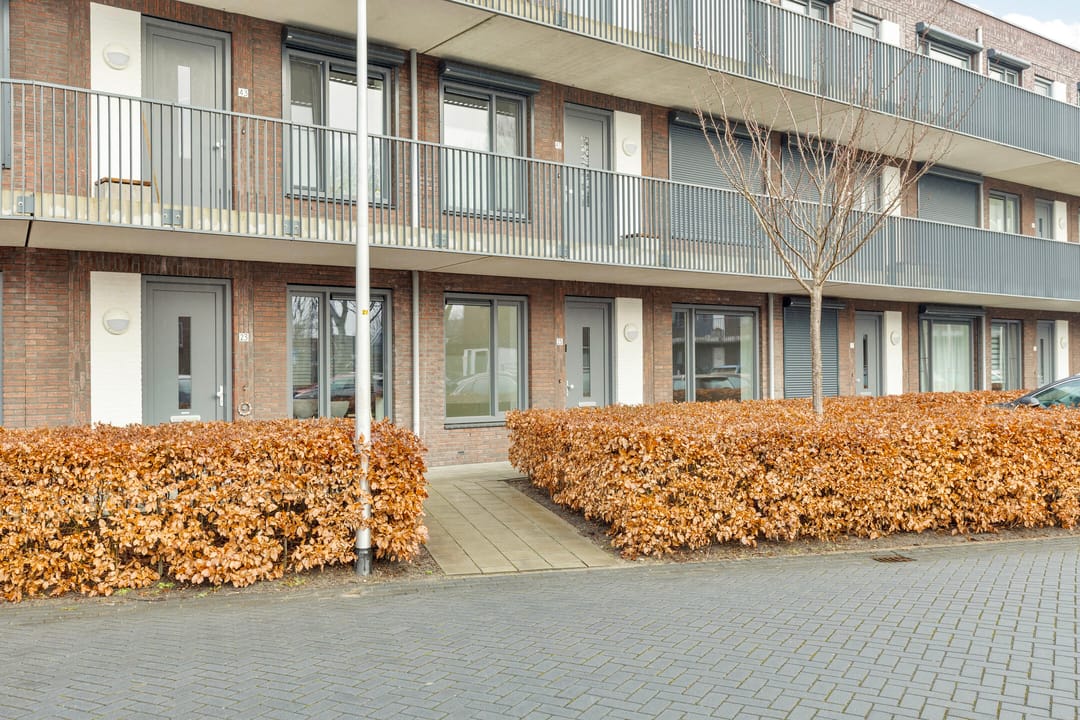 Foto 26 van Litho 25