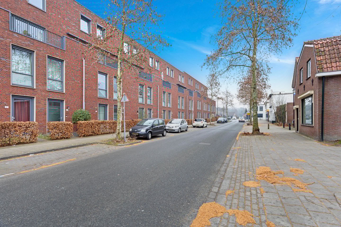 Foto 5 van Lage Bothofstraat 227-A