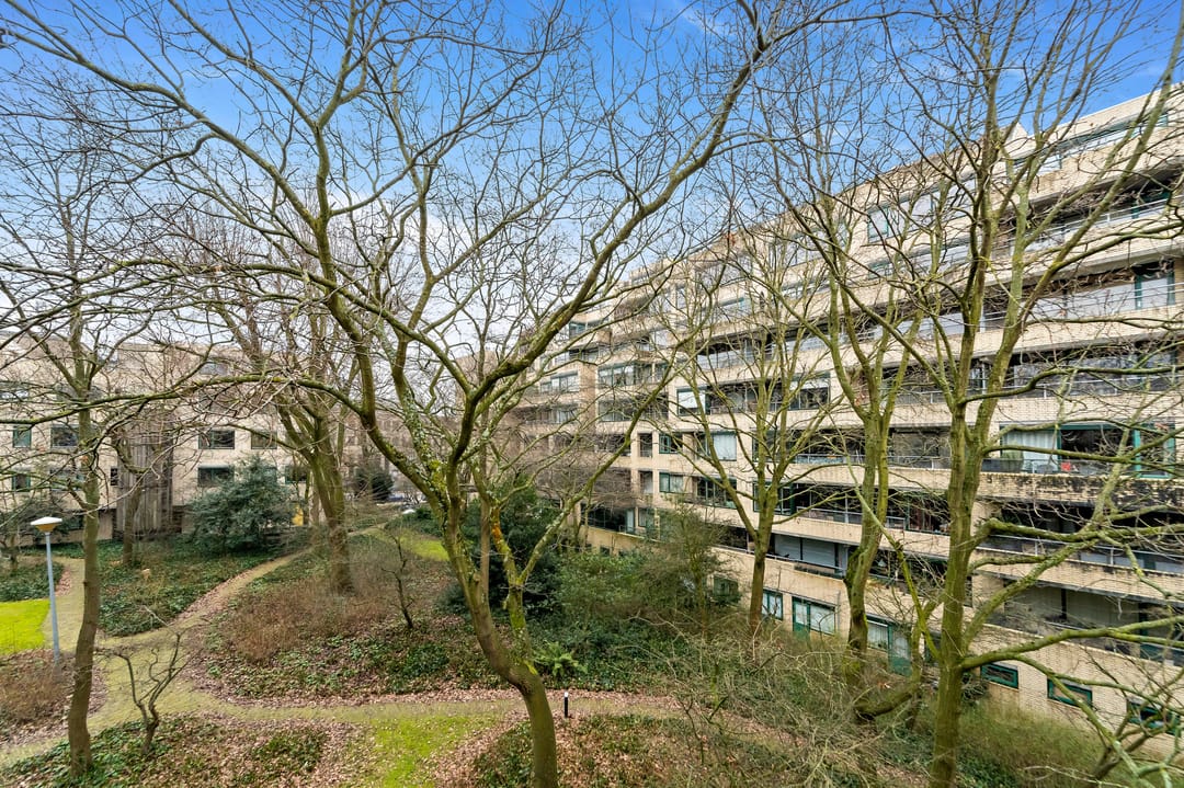 Photo 13 of Burgemeester Patijnlaan 790