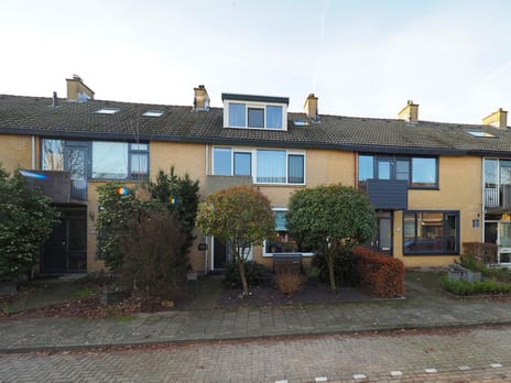 Frans Halsstraat thumbnail