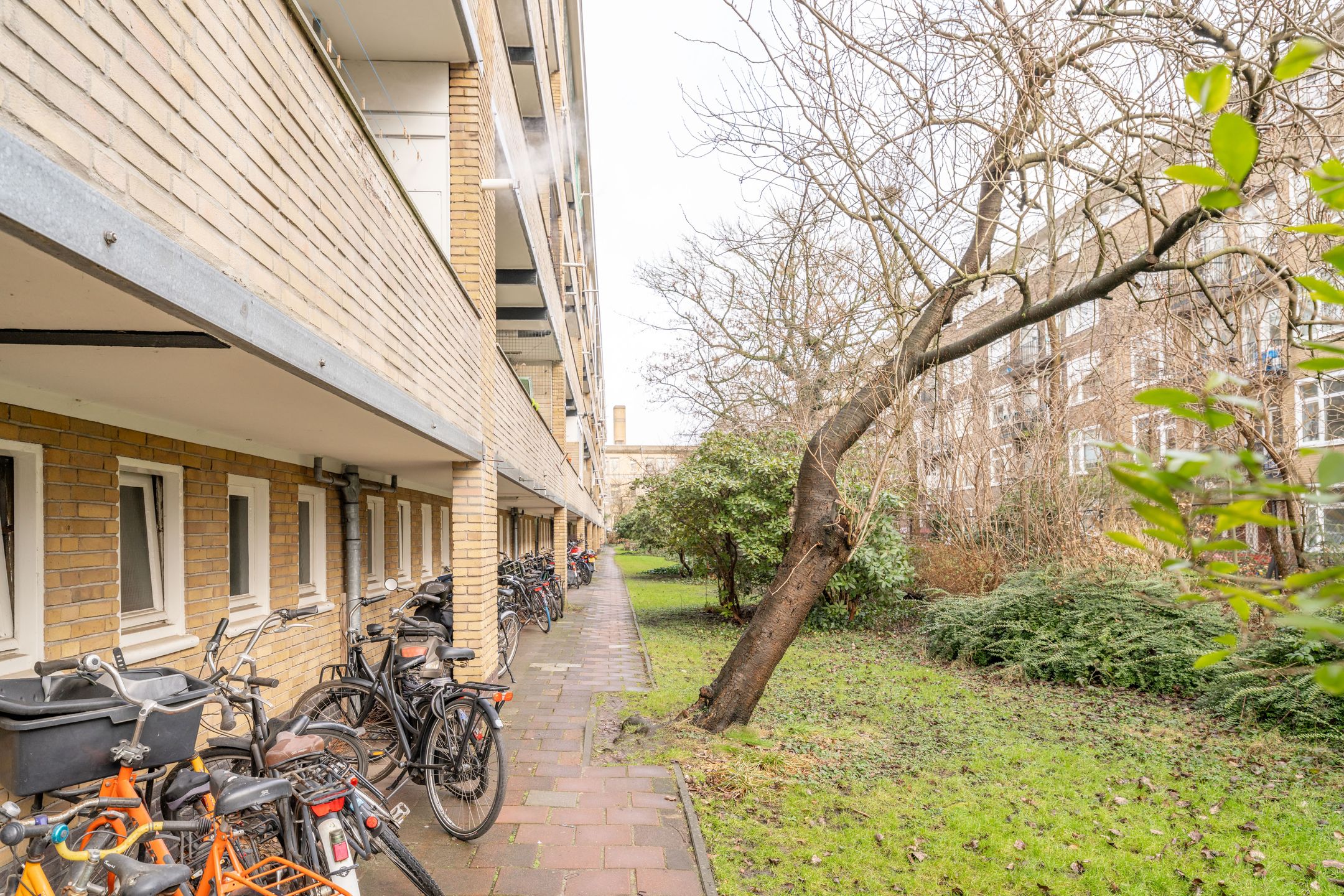 Foto 21 van Heer Halewijnstraat 1-2