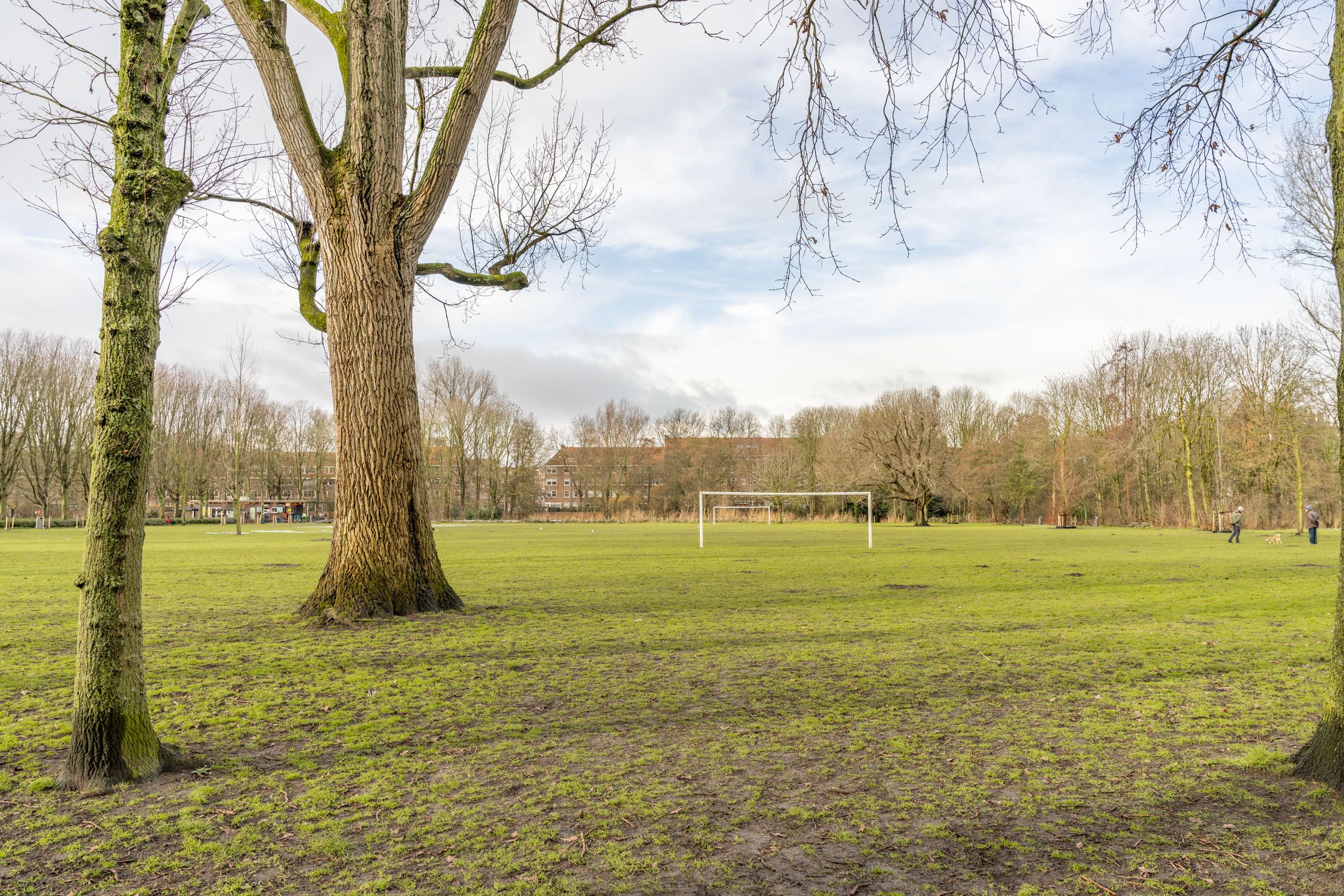 Foto 24 van Heer Halewijnstraat 1-2