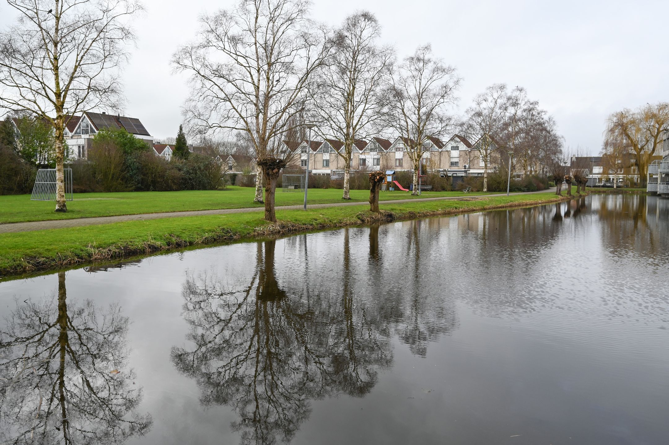 Foto 30 van Ebro 169