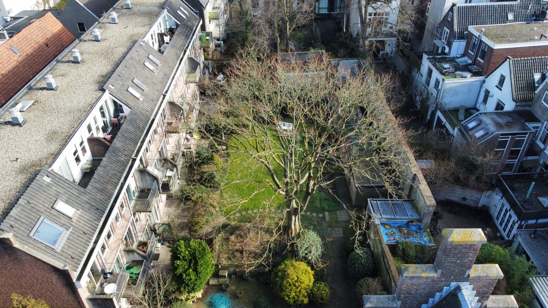 Foto 2 van Springweg 406