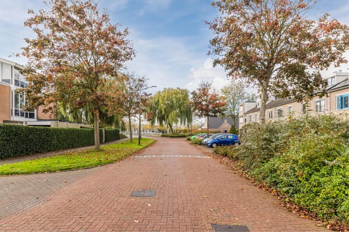 Foto 4 van Zeearend 70