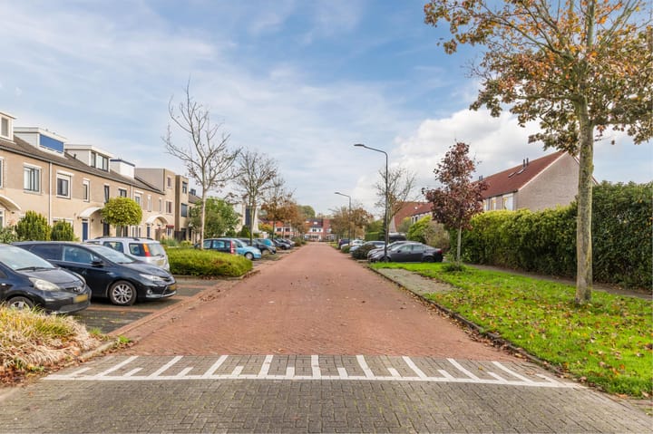 Foto 5 van Zeearend 70