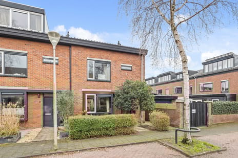 Blanchardstraat thumbnail